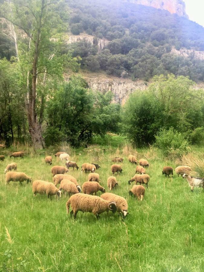 Apartamento Rural La Cascada De Calmarza Esterno foto