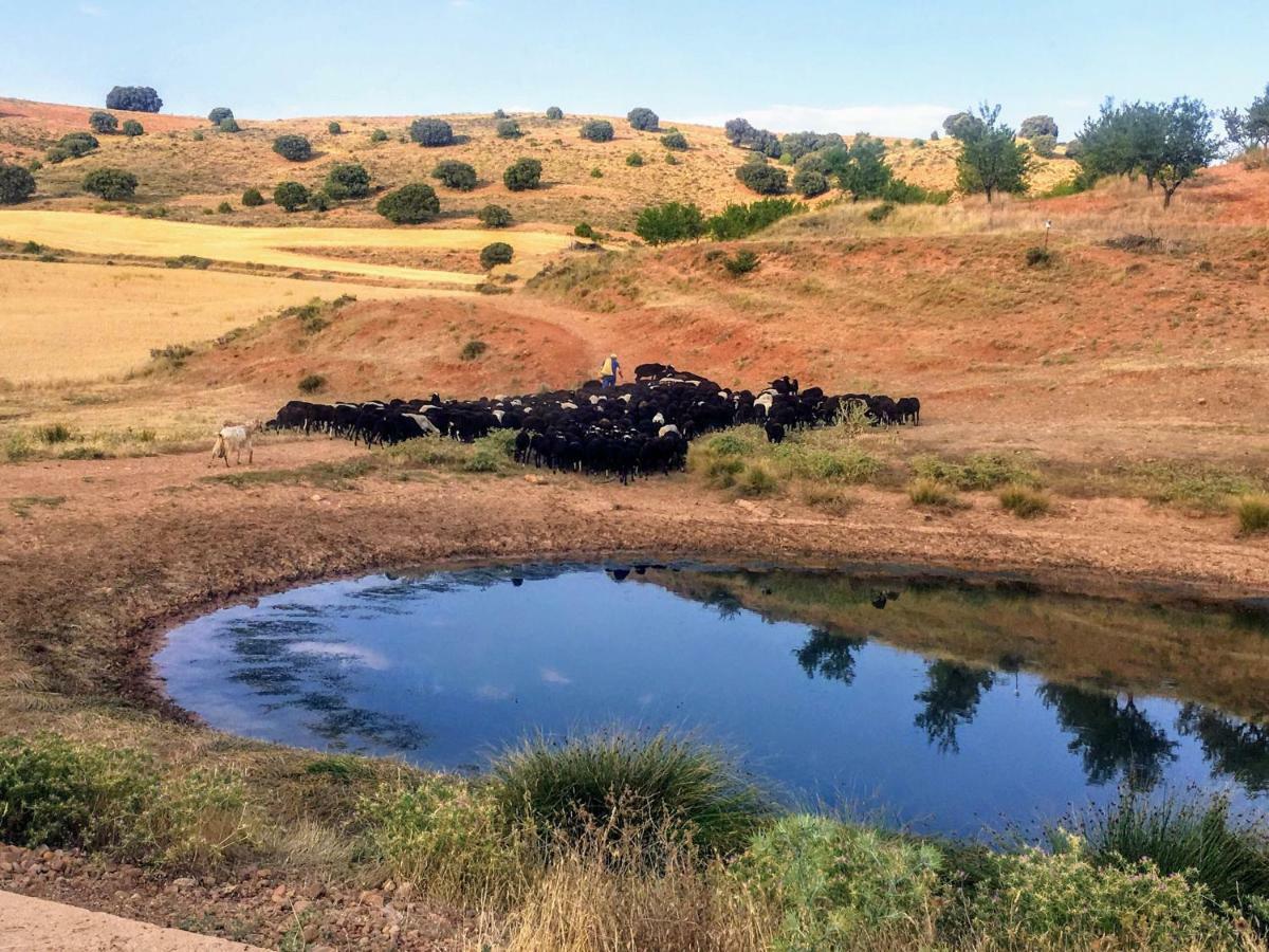 Apartamento Rural La Cascada De Calmarza Esterno foto