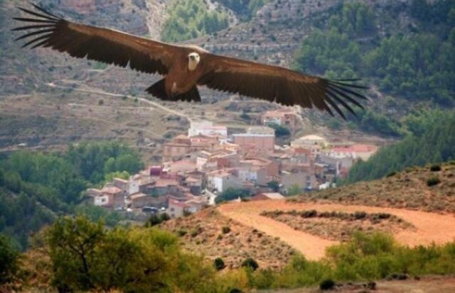 Apartamento Rural La Cascada De Calmarza Esterno foto