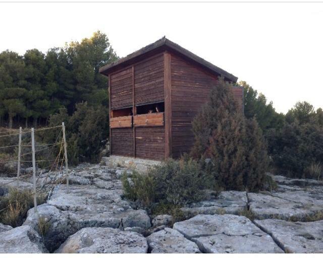 Apartamento Rural La Cascada De Calmarza Esterno foto
